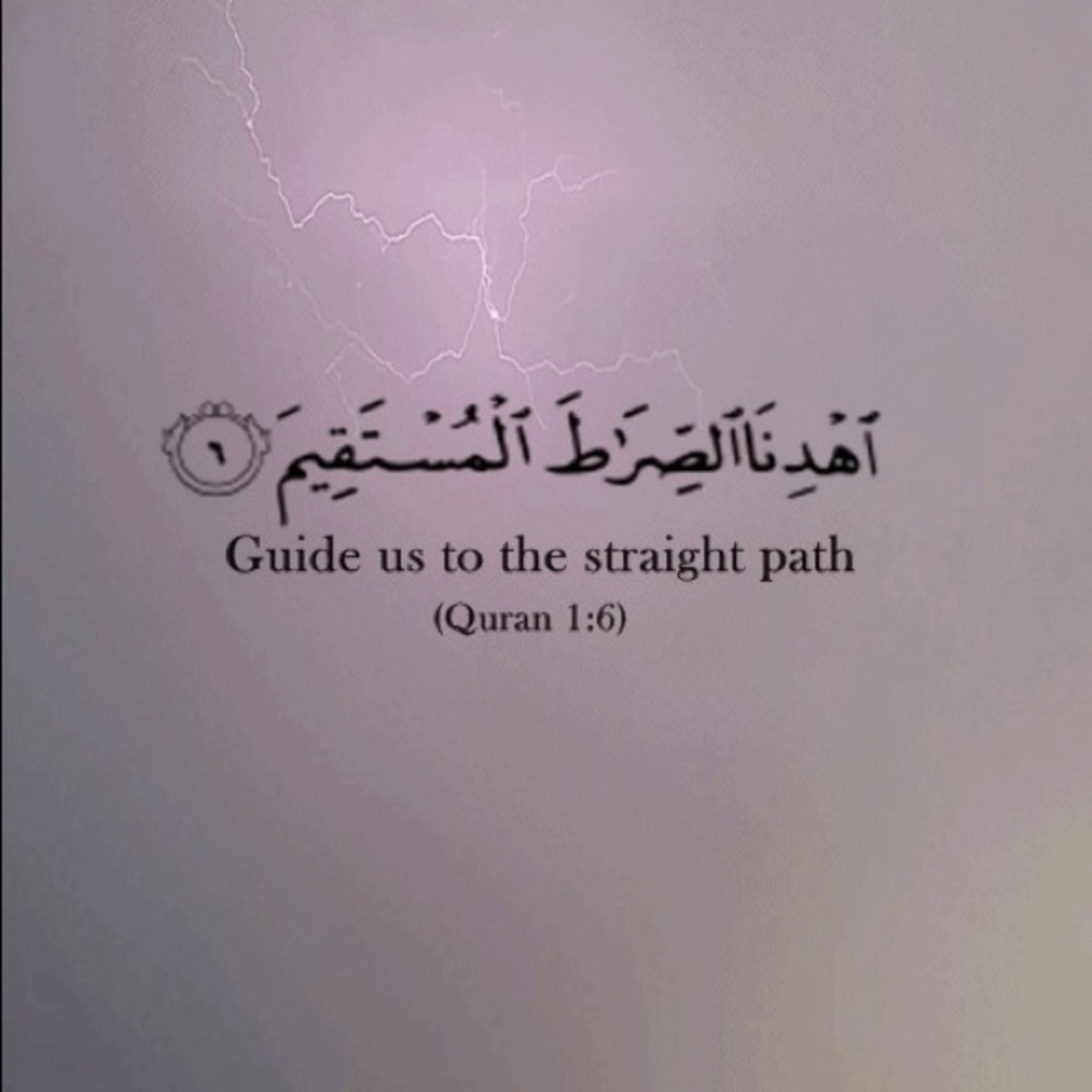 Meet your Posher, lulu 0803